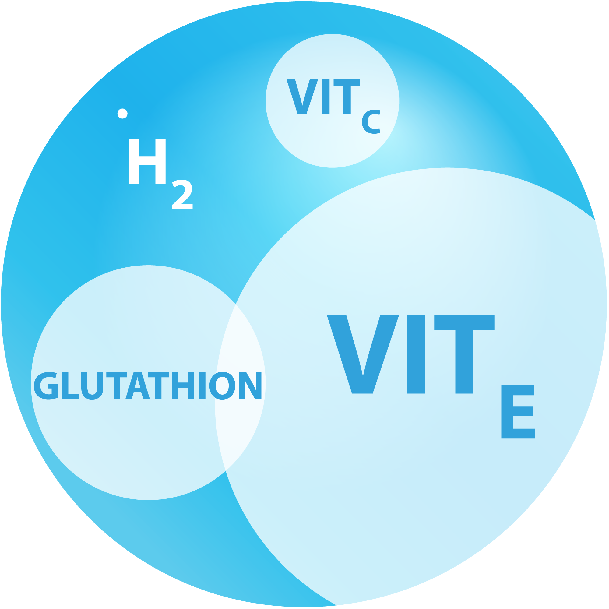 H2-Info – Viawa
